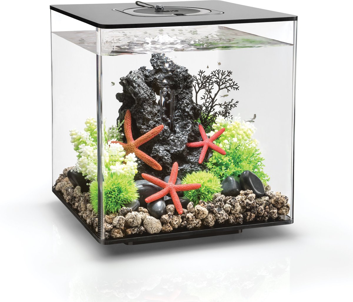 biOrb Classic 30 Aquarium - 8 Gallon Orb Fish Tank with MCR Light