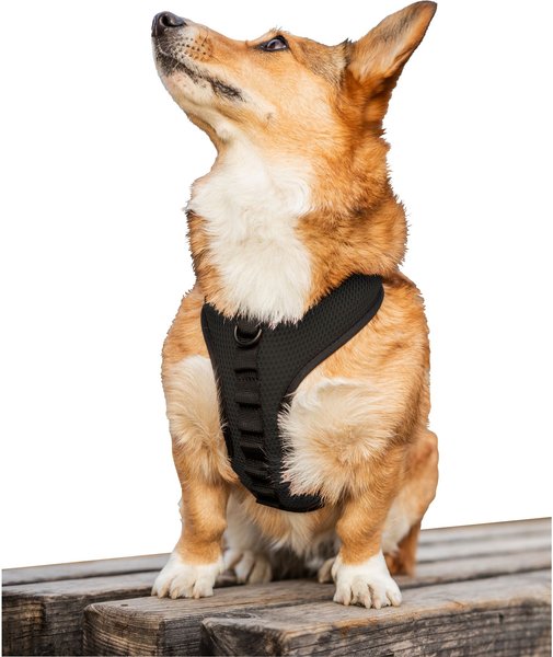 K9 Sport Sack Dog Harness, Black, Medium slide 1 of 9