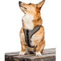K9 Sport Sack Dog Harness, Gray, Large