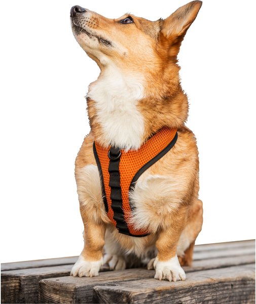 K9 Sport Sack Dog Harness, Orange, Medium slide 1 of 9