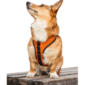 K9 Sport Sack Dog Harness, Orange, Medium