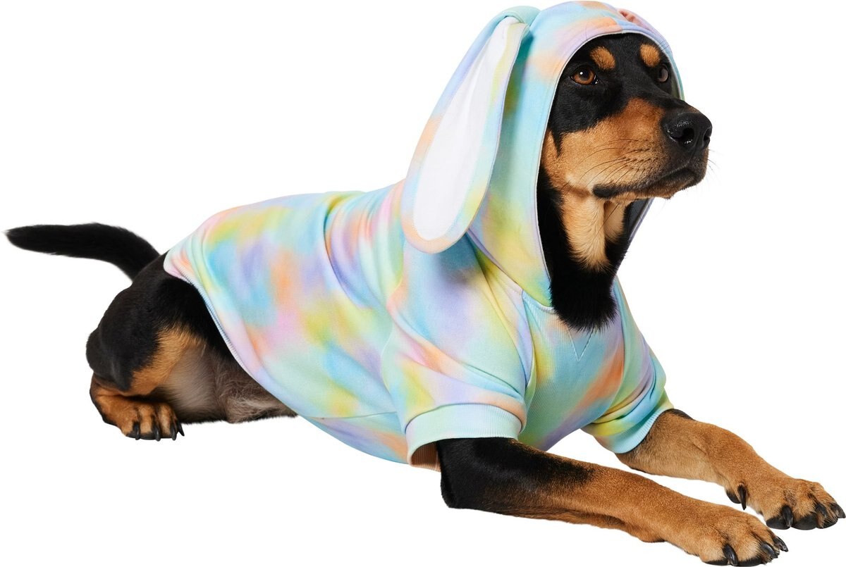A Rottweiler wearing a wash effect Bunny Ear Hoodie.