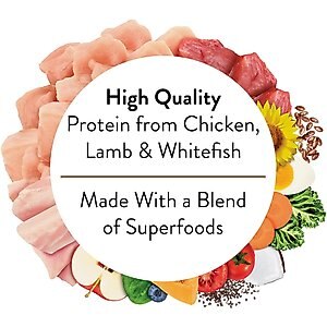Nutro Ultra Grain-Free Trio Protein Chicken, Lamb & Whitefish Pate with Superfoods Senior Wet Dog Food Trays, 3.5-oz tray, case of 24