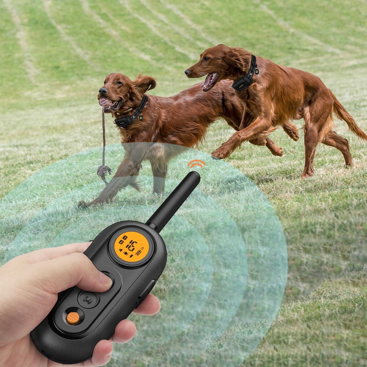 PATPET NFC ID Pet Tag & Lightweight Remote Dog Training Electric Collar
