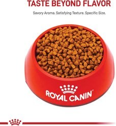 Royal Canin Size Health Nutrition X-Small Puppy Dry Dog Food, 3-lb bag slide 2 of 9