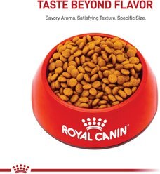 Royal Canin Size Health Nutrition X-Small Adult 8+ Dry Dog Food, 2.5-lb bag slide 2 of 9