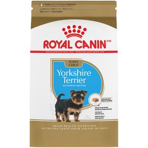 Shops chihuahua puppy food