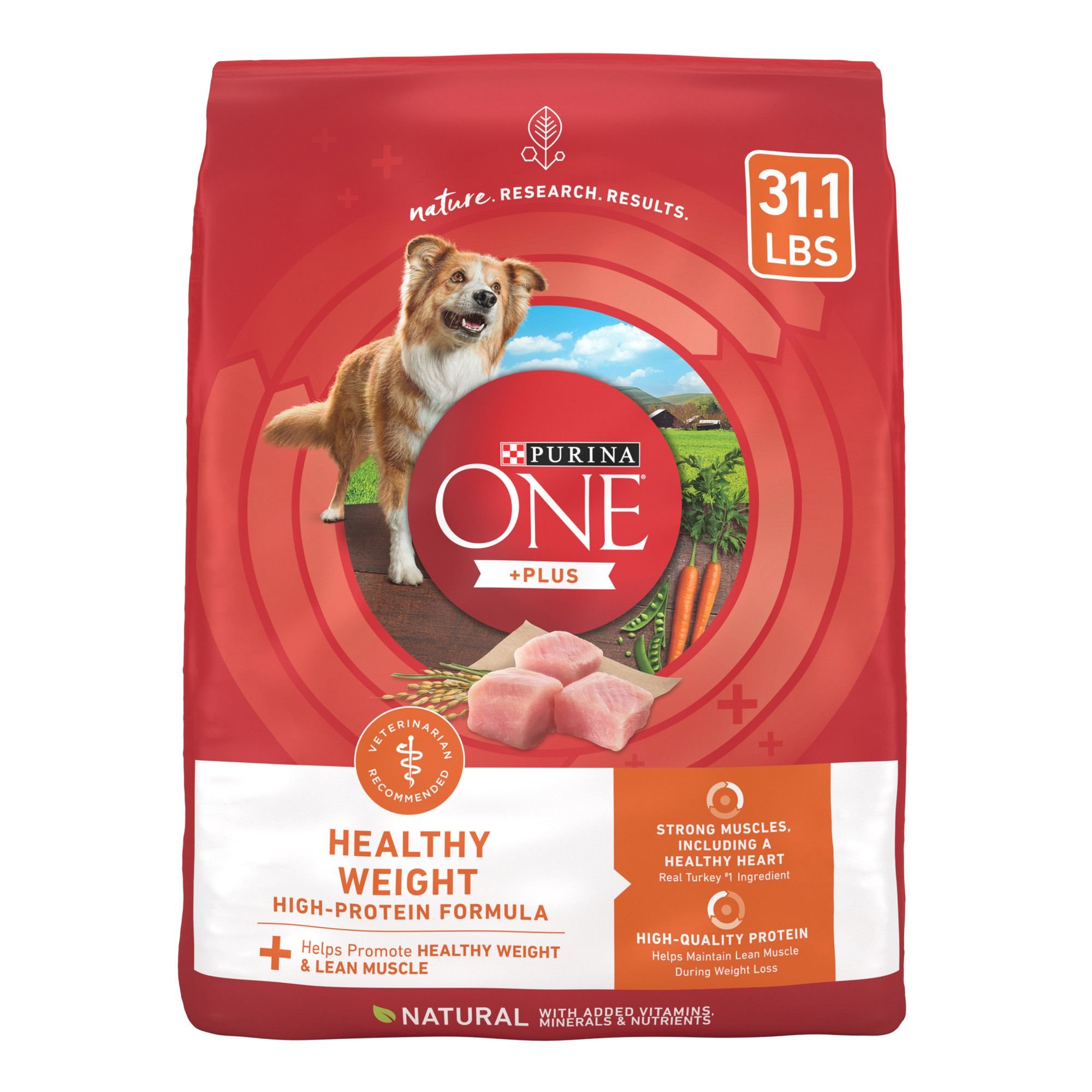 PURINA ONE +Plus Adult High-Protein Healthy Weight Formula Dry Dog Food ...