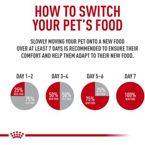 Royal Canin Hairball Care Dry Cat Food, 6-lb bag