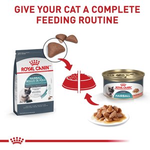 Royal Canin Hairball Care Dry Cat Food, 6-lb bag
