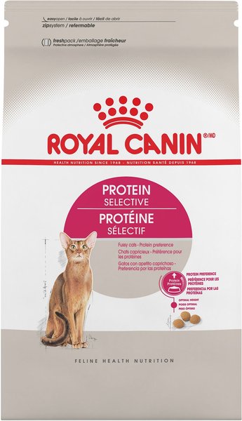 dry cat food for finicky cats