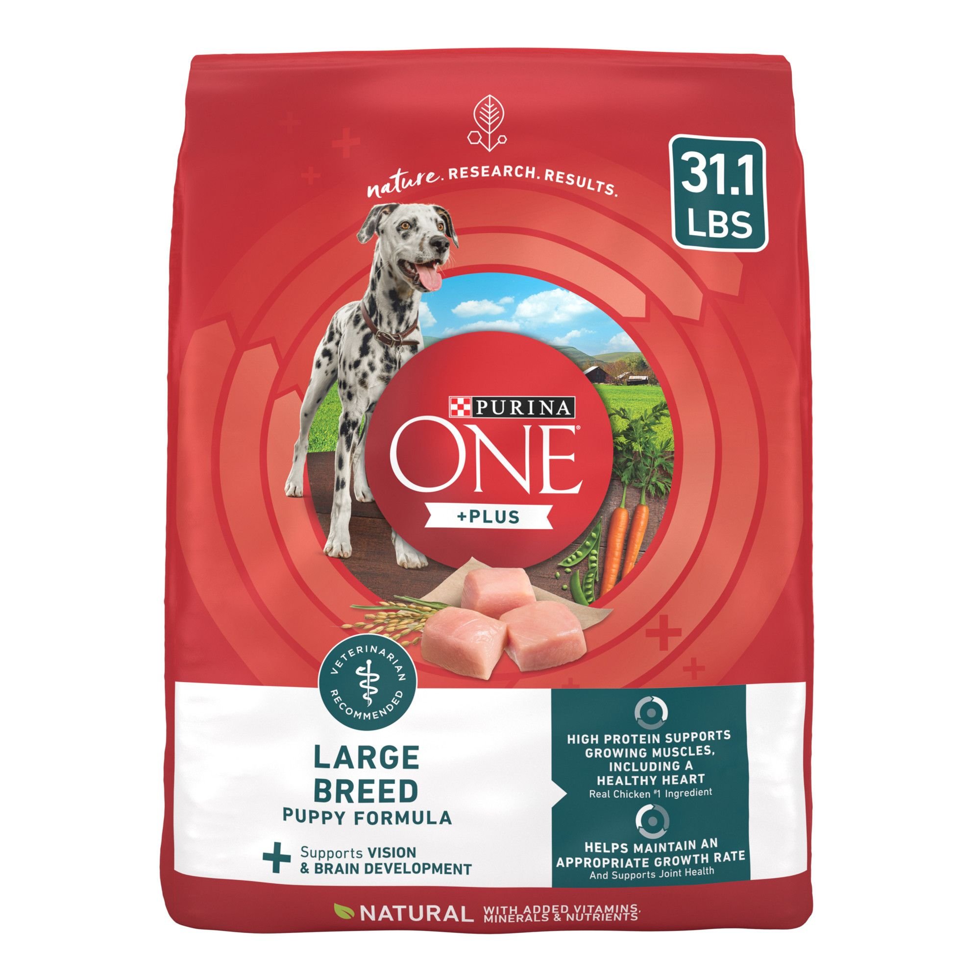 PURINA ONE Plus Natural Large Breed Formula Dry Puppy Food