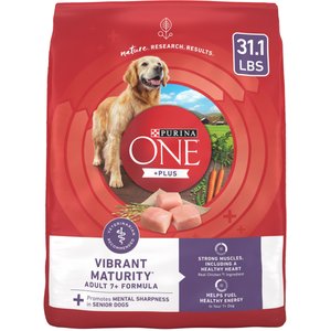 10 Best Dry Dog Food for Senior Dogs 2024 According to Reviews Chewy