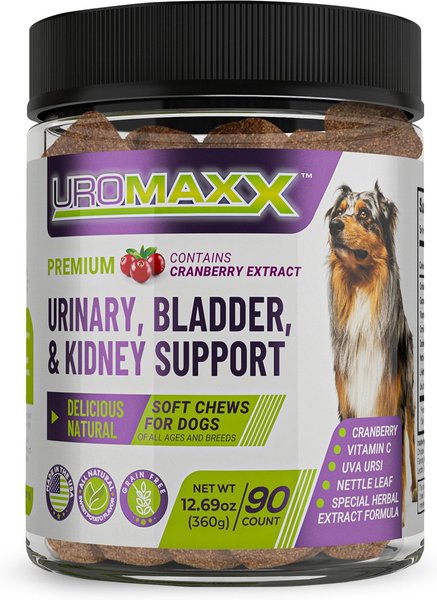 Chewy urinary dog outlet food