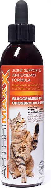 Animal Nutritional Products ArthriMAXX liquid Joint Support & Antioxdant Cat Supplement, 6-oz bottle slide 1 of 9