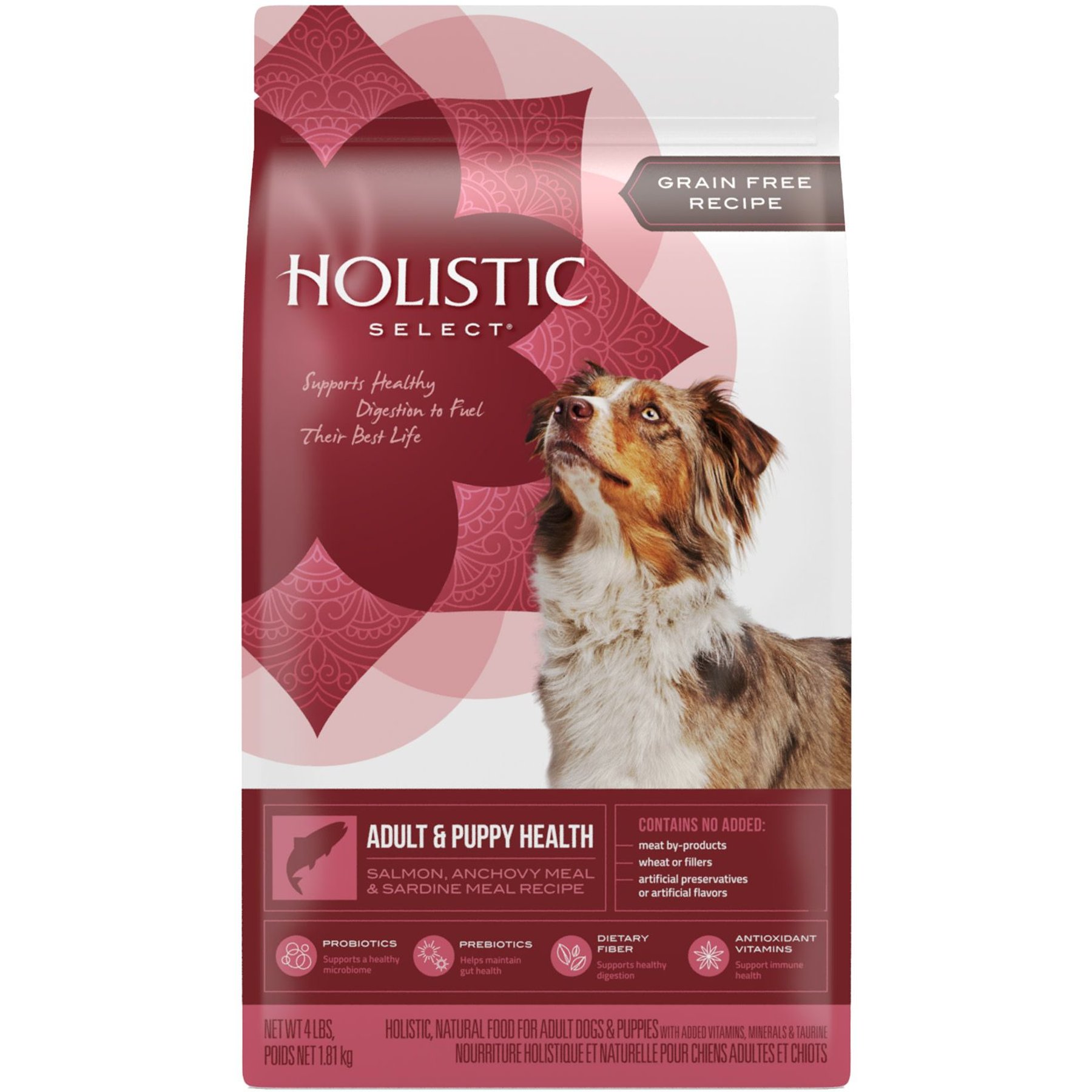 Grain free 2025 holistic dog food