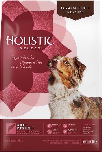 Holistic Select Adult & Puppy Grain-Free Salmon, Anchovy & Sardine Meal Recipe Dry Dog Food, 12-lb bag slide 1 of 10