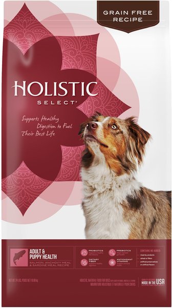 Holistic Select Adult & Puppy Grain-Free Salmon, Anchovy & Sardine Meal Recipe Dry Dog Food, 24-lb bag slide 1 of 10
