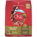 Purina ONE Natural SmartBlend Lamb & Rice Formula Dry Dog Food, 31.1-lb bag