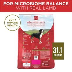 Purina ONE Natural SmartBlend Lamb & Rice Formula Dry Dog Food, 31.1-lb bag slide 2 of 9