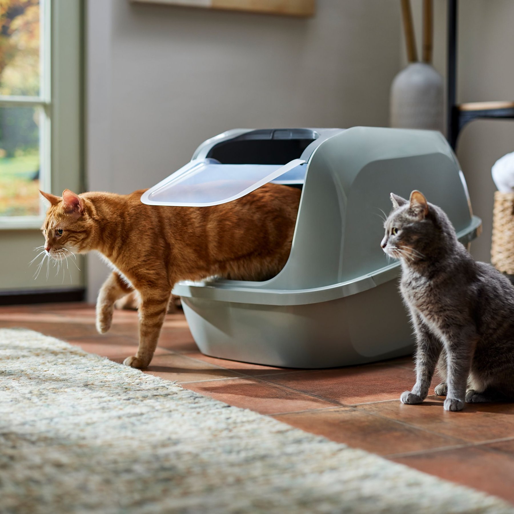 Frisco Frisco Mega Deluxe Litter Box, Olive Green, 26-in