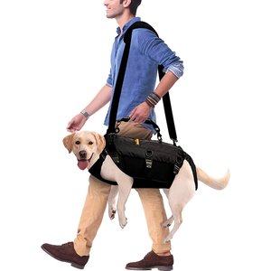 Chewy Designer Dog Backpack Harness And Leash