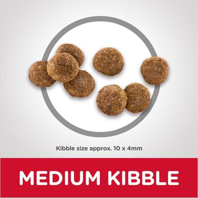 Show full view: Hill's Science Diet Puppy Chicken Meal & Barley Recipe Dry Dog Food, 30-lb bag slide 5 of 14