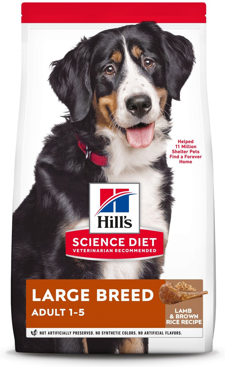 Hill's science diet dog food lamb hot sale and rice