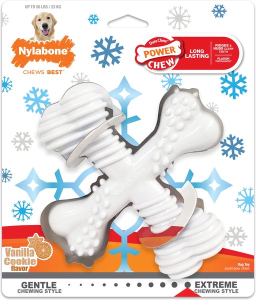 Nylabone Power Chew Vanilla Cookie Holiday X Dog Bone Chew Toy slide 1 of 10