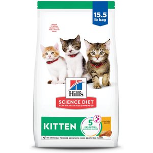 Kitten food chewy best sale