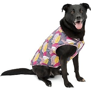 Kurgo Loft Reversible Insulated Dog Quilted Coat, Fall Festival, Small