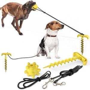 HANAMYA Molar Chew Ball with Portable Tie-out Stick Elastic Pull Rope Dog Toy, Yellow