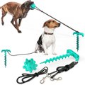 HANAMYA Molar Chew Ball with Portable Tie-out Stick Elastic Pull Rope Dog Toy, Fresh Green