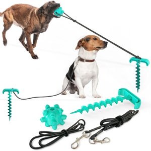 HANAMYA Molar Chew Ball with Portable Tie-out Stick Elastic Pull Rope Dog Toy, Fresh Green