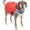 Show in main carousel: Kurgo Surf-n-Turf Dog Life Jacket, Red, Large slide 1 of 10