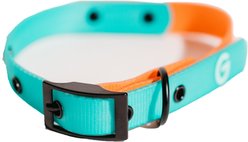 Good Trouble Everyday Coated Nylon Dog Collars, Orange, Small
