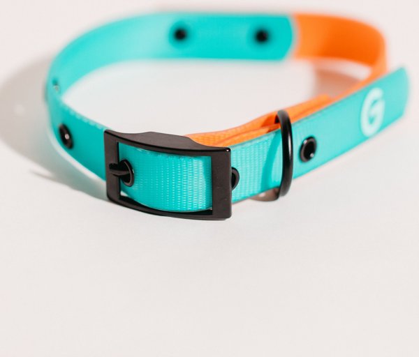 Discontinued GOOD TROUBLE Everyday Coated Nylon Dog Collars, Orange