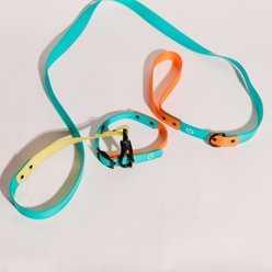 Good Trouble Everyday Coated Nylon Dog Leashes, Orange, Small