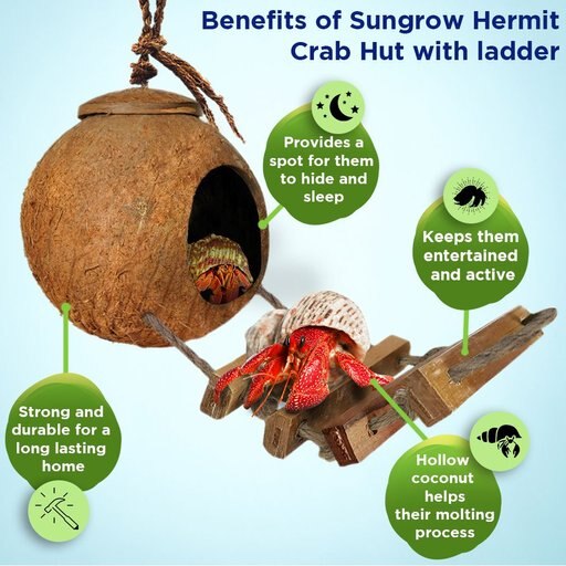 SunGrow Hermit Crab Coconut Climbing Habitat & Hideaway Cage with Ladder, Natural