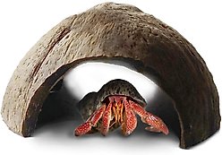 SunGrow Hermit Crab & African Dwarf Frog Habitat Accessory & Terrarium Decor Coconut Shell Hideout