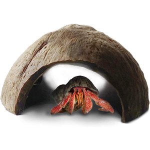 SunGrow Hermit Crab & African Dwarf Frog Habitat Accessory & Terrarium Decor Coconut Shell Hideout