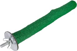 Pet Champion 8-in Sand Coated Bird Perch, Green