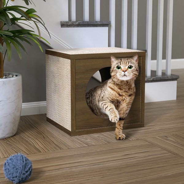 Cat 2024 scratcher cube