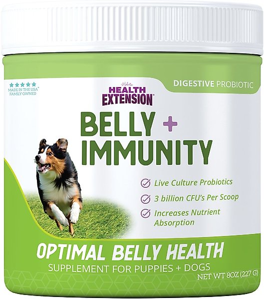 Health Extension Belly + Immunity Powder Digestive & Immune Supplement for Dogs, 8-oz bottle slide 1 of 3