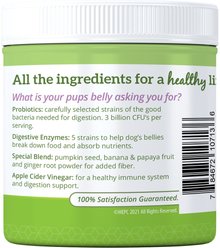 Health Extension Belly + Immunity Powder Digestive & Immune Supplement for Dogs, 8-oz bottle slide 2 of 3