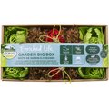 Oxbow Animal Health Enriched Life Garden Dig Box Small Animal Toy