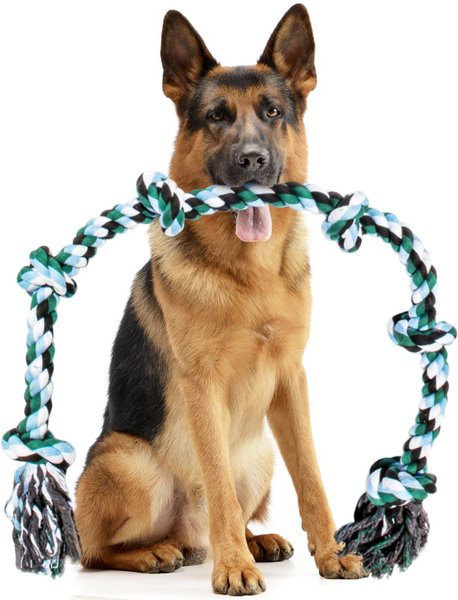 Pacific Pups Rescue Knotted Rope Tug Dog Toy, Blue, X-Large slide 1 of 7