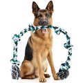 Pacific Pups Rescue Knotted Rope Tug Dog Toy, Blue, X-Large