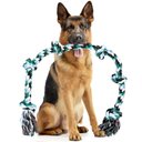 Pacific Pups Rescue Knotted Rope Tug Dog Toy, Blue, XX-Large