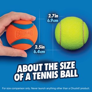 Chuckit! Ultra Rubber Ball Tough Dog Toy, Medium, 2 pack